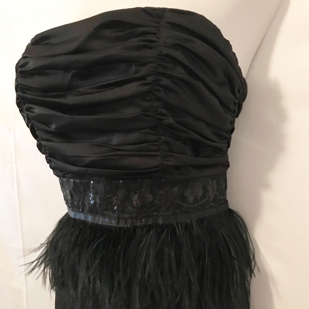 Strapless Cocktail Feather Embellished Dress NWT